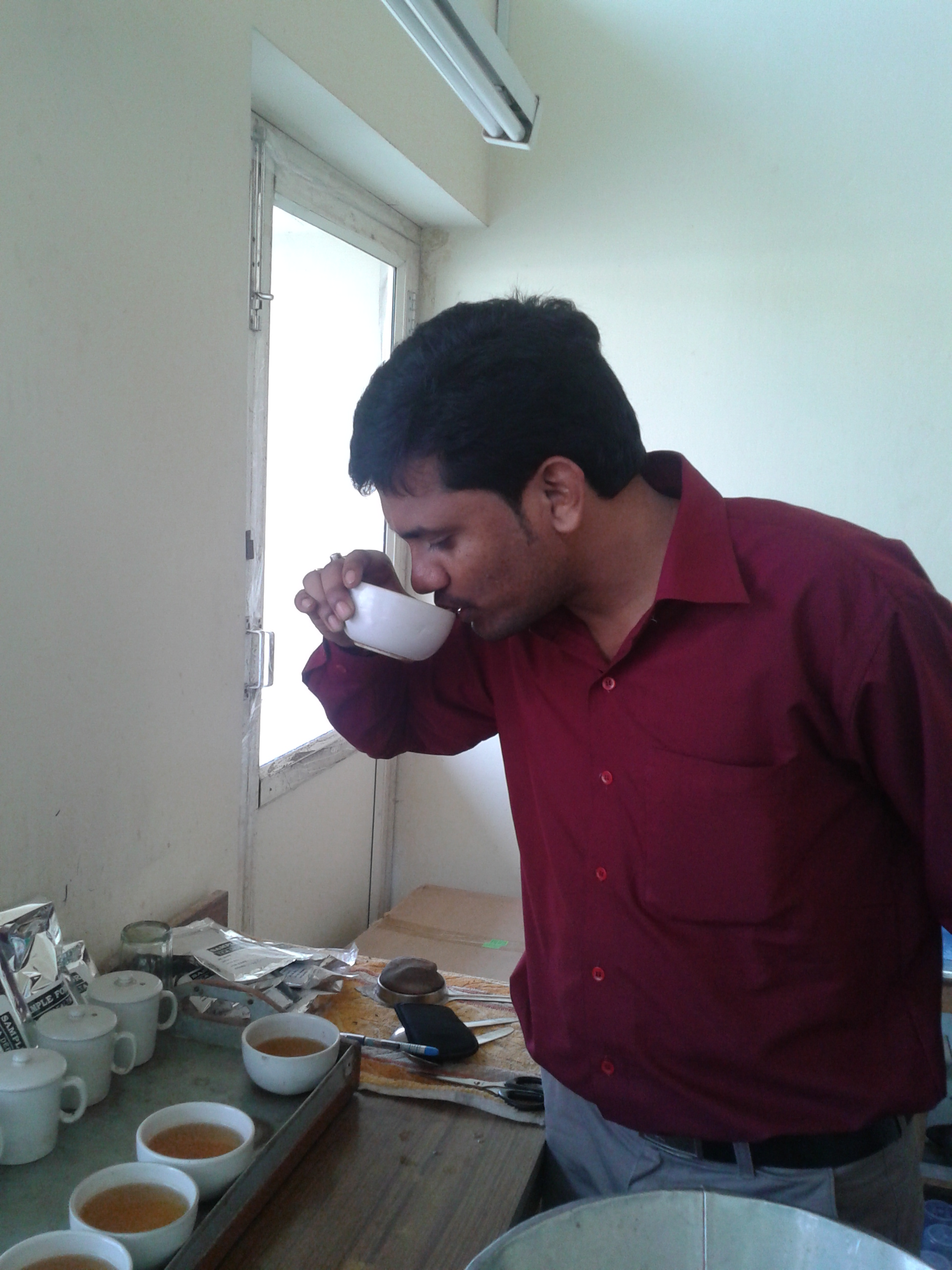 Consultant tasting tea liquor at the cupping bench