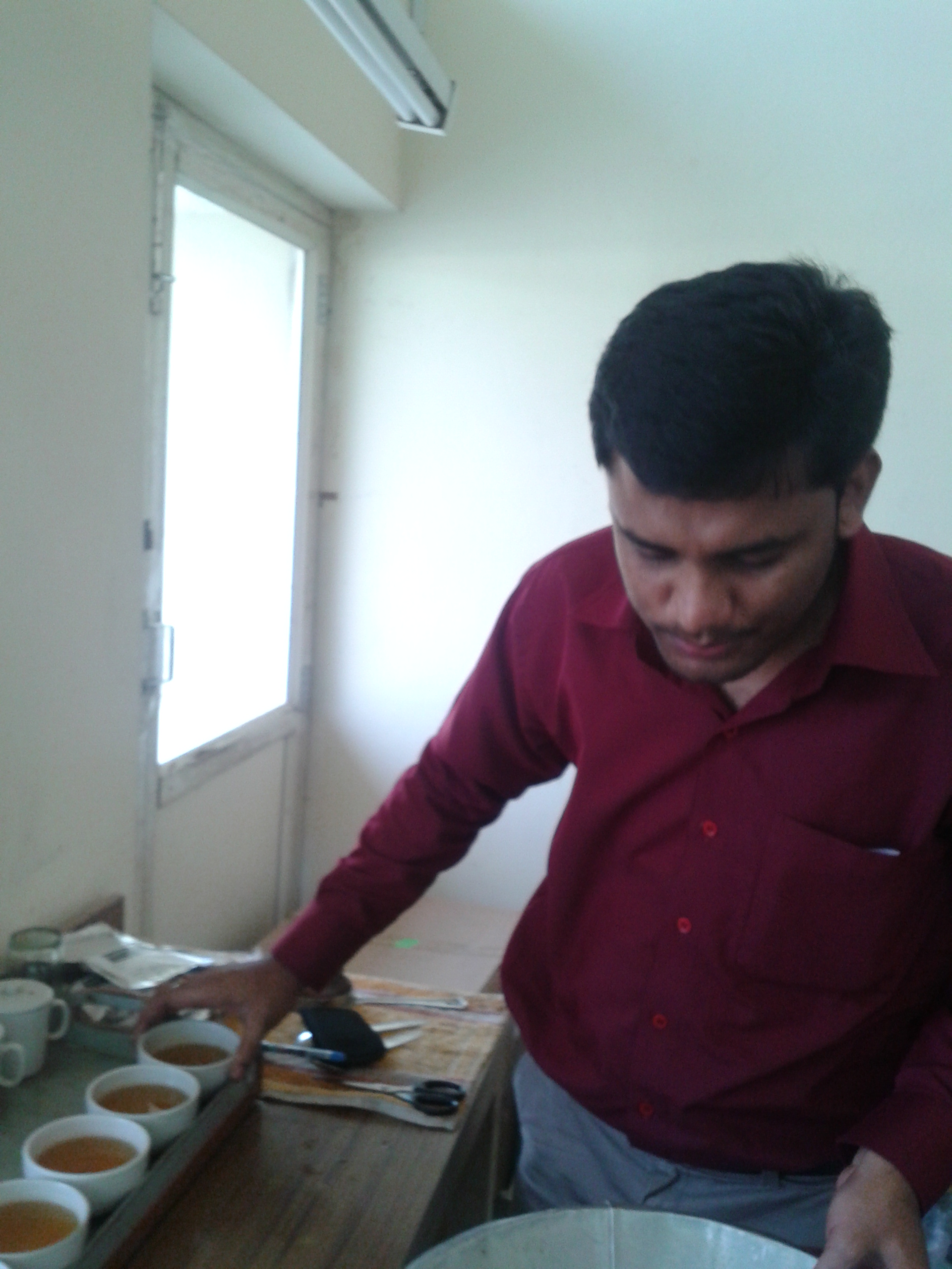Evaluating brewed tea liquor at the tasting bench