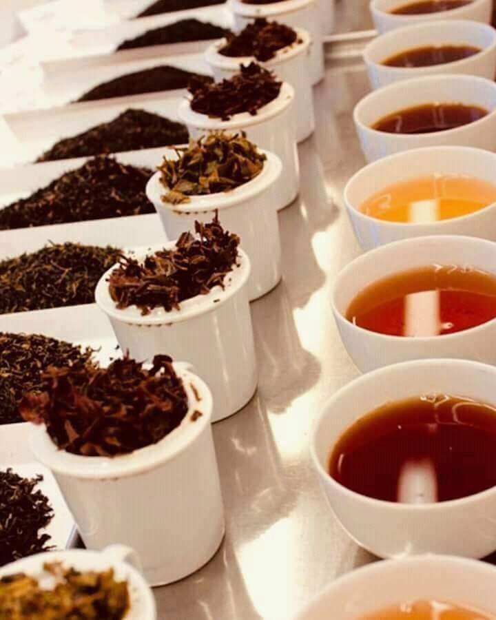 Cupping table with dry leaf samples and brewed liquor