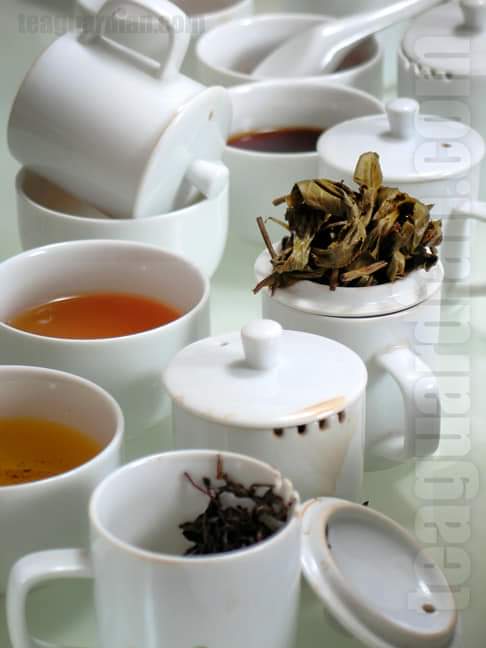 Professional tea tasting set with cupping cups, infused leaf and liquor