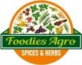 Foodies Agro Spices & Herbs